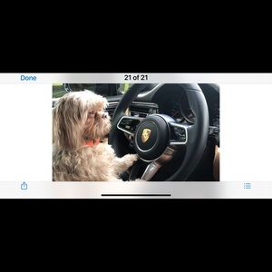 Meet your Posher, Jay